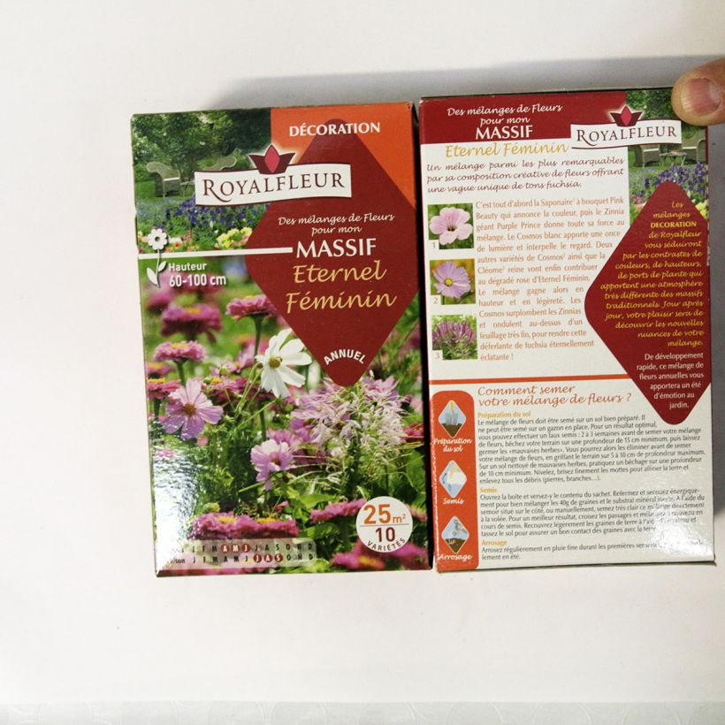 Esimerkki toimitetusta Kukkapenkin siemenseos Ikuinen naisellisuus (rasia 25 m²) 40 gramman siemenpussi-taimesta