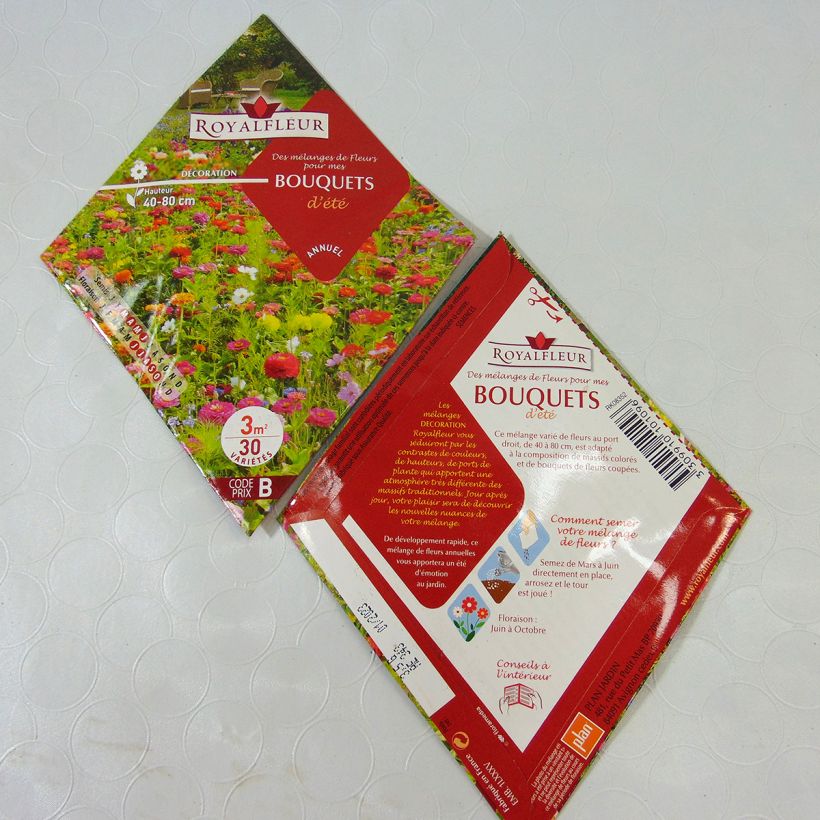 Esimerkki toimitetusta Kukkapenkin siemenseos Kimppukukat (pussi 3 m²) 3.5 gramman siemenpussi-taimesta