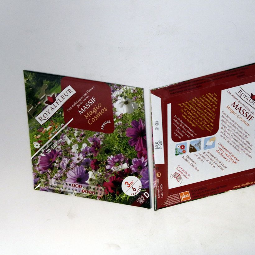 Esimerkki toimitetusta Mélange pour massif Magic Cosmos - Sachet 3m2 3.5 gramman siemenpussi-taimesta