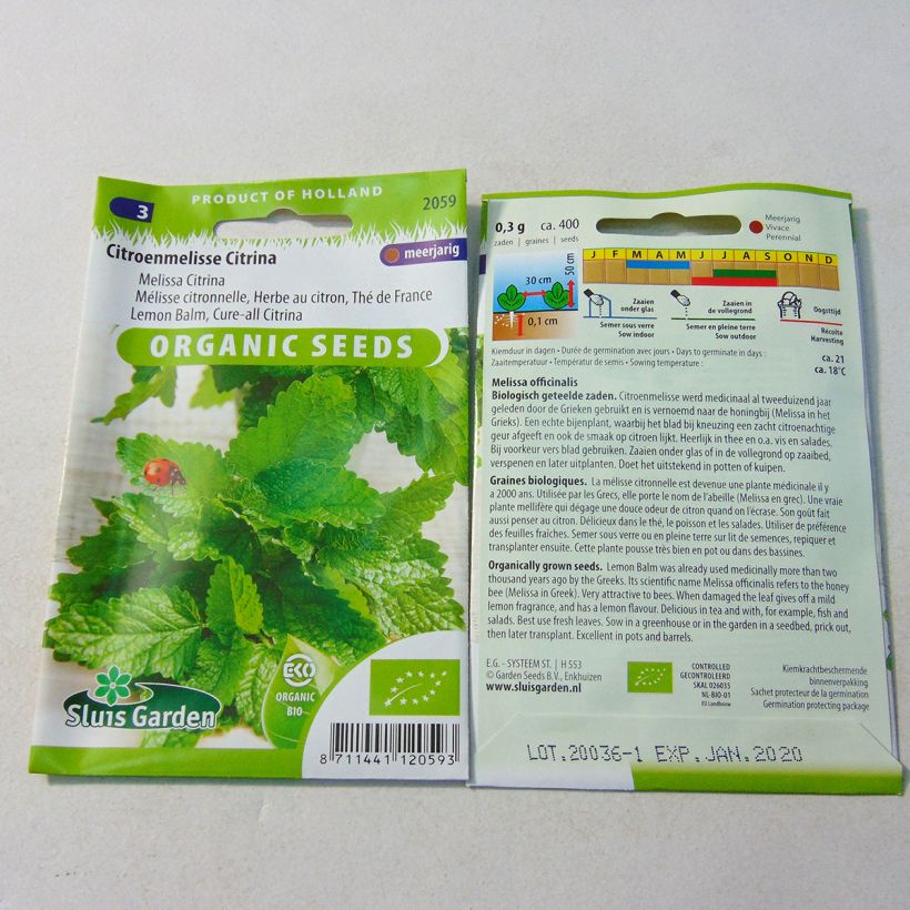 Esimerkki toimitetusta Sitruunamelissa luomu (siemenet) - Melissa officinalis 1000 siemenen pussi (0,6g)-taimesta