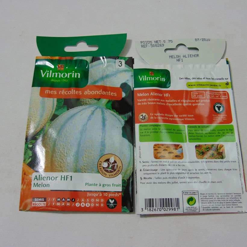 Esimerkki toimitetusta Cantaluponmeloni Alienor F1 - Vilmorin 21 siemenen pussi (0.7g)-taimesta