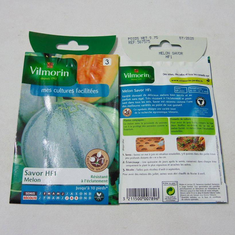 Esimerkki toimitetusta Cantaluponmeloni Savor F1 - Vilmorin 21 siemenen pussi (0.7g)-taimesta