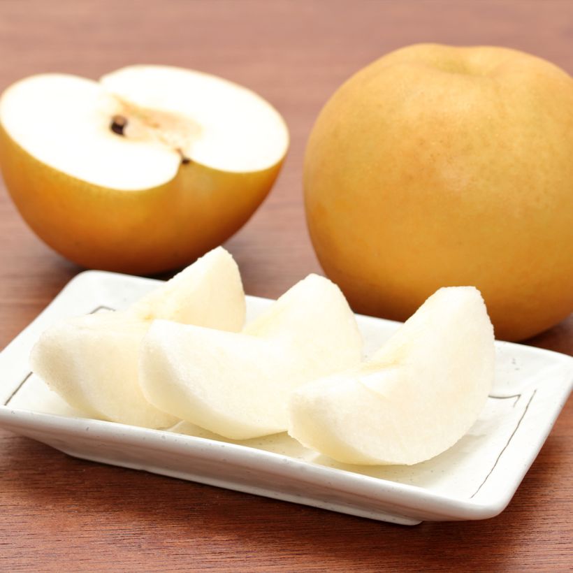 Omenapäärynä (nashi) Niitaka (Sadonkorjuu)