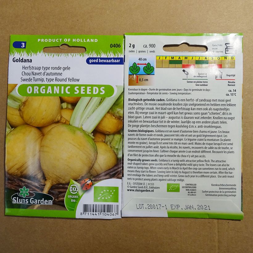 Esimerkki toimitetusta Nauris Goldana luomu - Brassica rapa 900 siemenen pussi (0.2g)-taimesta