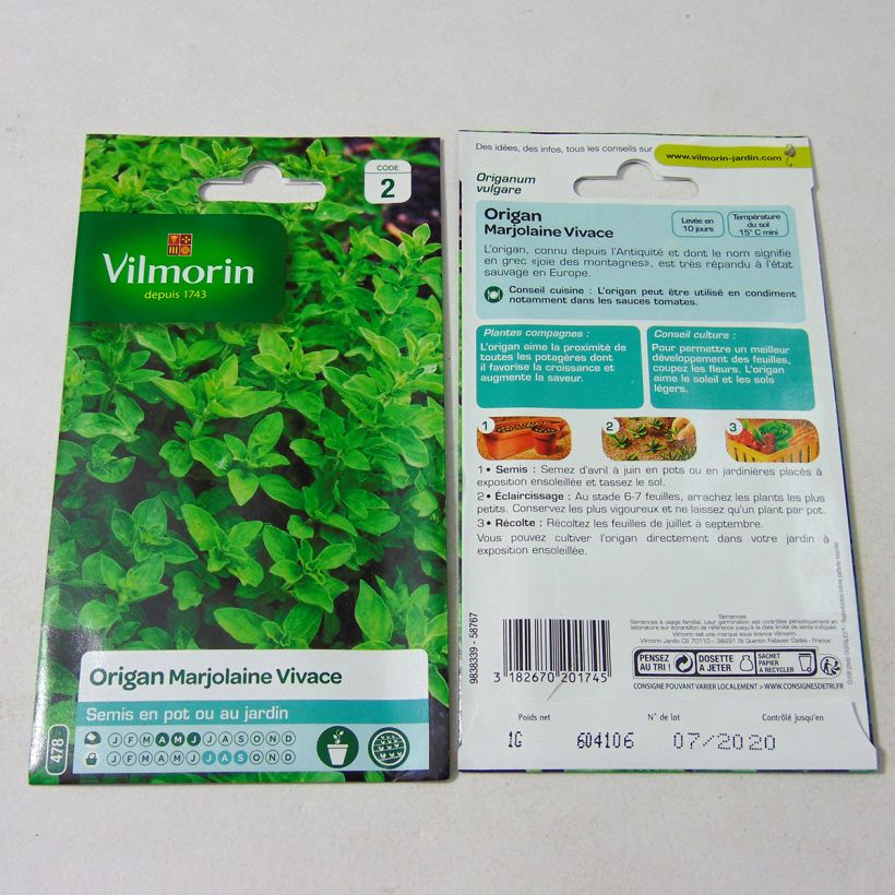 Esimerkki toimitetusta Mäkimeirami - Vilmorin - Origanum vulgare 12000 siemenen pussi (1g)-taimesta