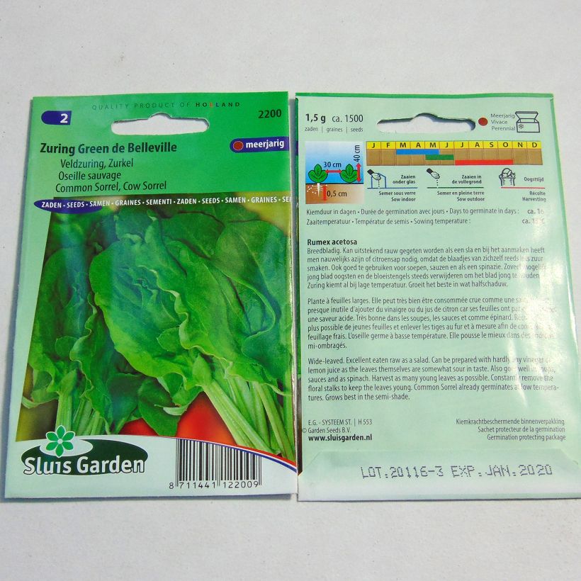 Esimerkki toimitetusta Niittysuolaheinä (siemenet) - Rumex acetosa 1500 siemenen pussi (1g)-taimesta