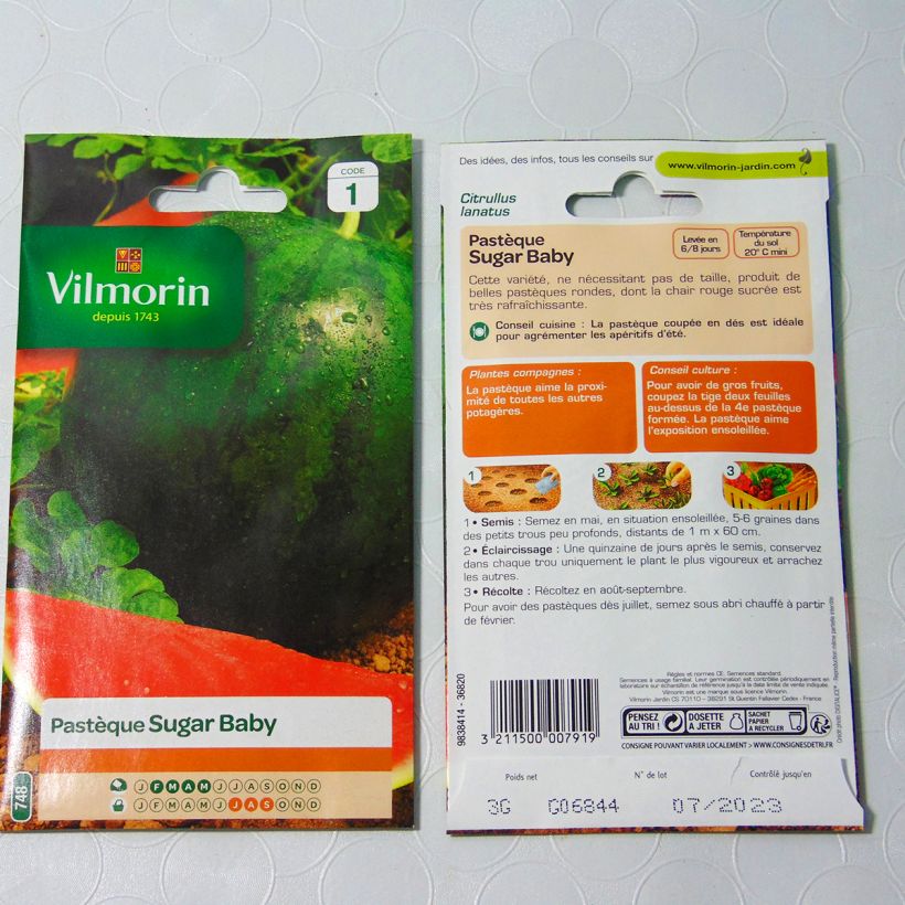 Esimerkki toimitetusta Vesimeloni Sugar Baby - Vilmorin 3 gramman siemenpussi-taimesta