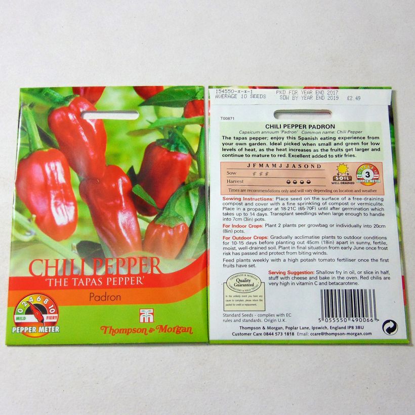 Esimerkki toimitetusta Chilipaprika Padron 10 siemenen pussi-taimesta