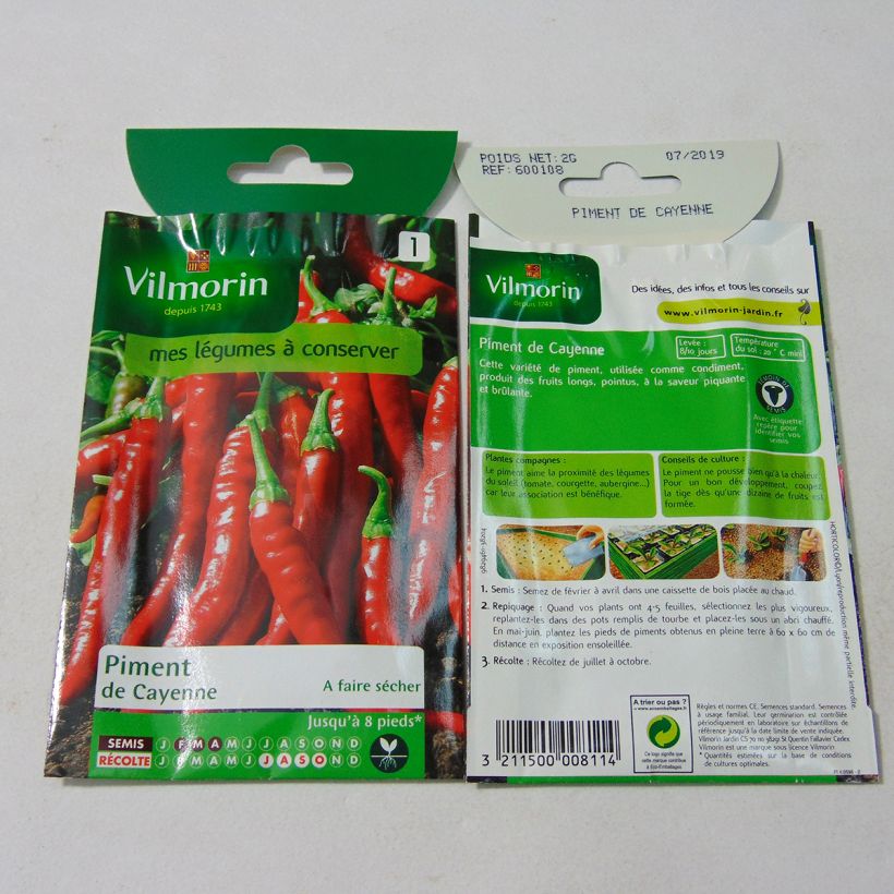 Esimerkki toimitetusta Chilipaprika de Cayenne - Vilmorin 240 siemenen pussi (2g)-taimesta