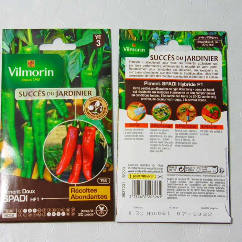 Esimerkki toimitetusta Maustepaprika Spadi F1 - Vilmorin 36 siemenen pussi (0.3g)-taimesta