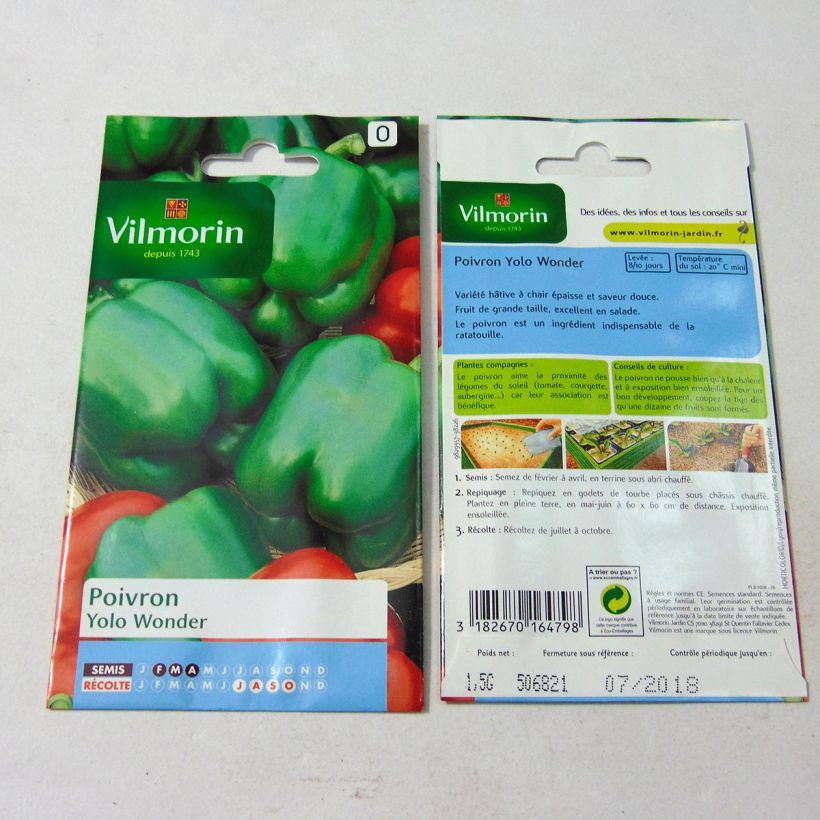 Esimerkki toimitetusta Paprika Yolo Wonder - Vilmorin 180 siemenen pussi (1,5g)-taimesta