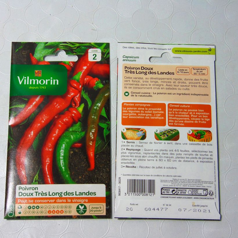 Esimerkki toimitetusta Maustepaprika Long des Landes - Vilmorin 240 siemenen pussi (2g)-taimesta
