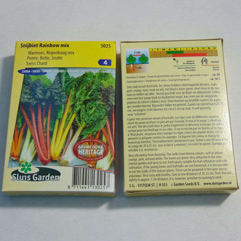 Esimerkki toimitetusta Lehtimangoldi Rainbow mix 400 siemenen pussi (15g)-taimesta