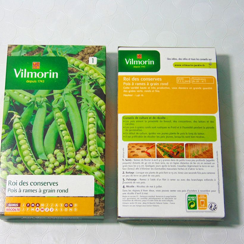 Esimerkki toimitetusta Silpoherne Roi des conserves - Vilmorin 600 siemenen pussi (200g)-taimesta