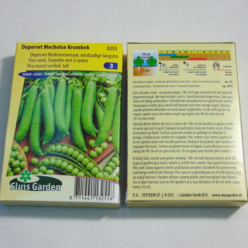 Esimerkki toimitetusta Silpoherne Serpette verte de Malines 255 siemenen pussi (85g)-taimesta
