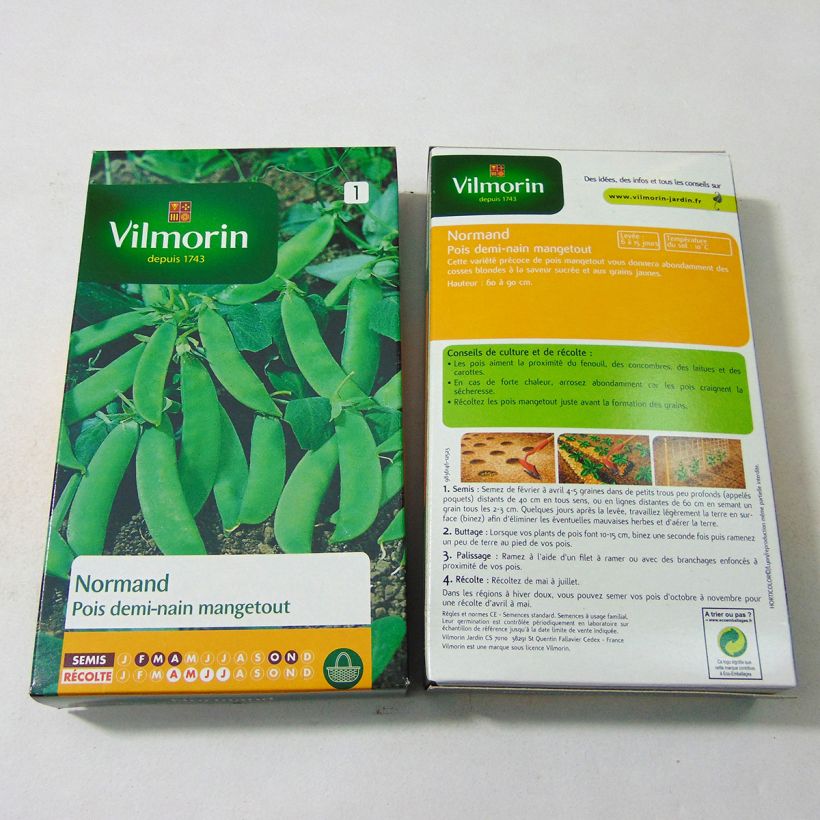 Esimerkki toimitetusta Sokeriherne Normand - Vilmorin 540 siemenen pussi (180g)-taimesta