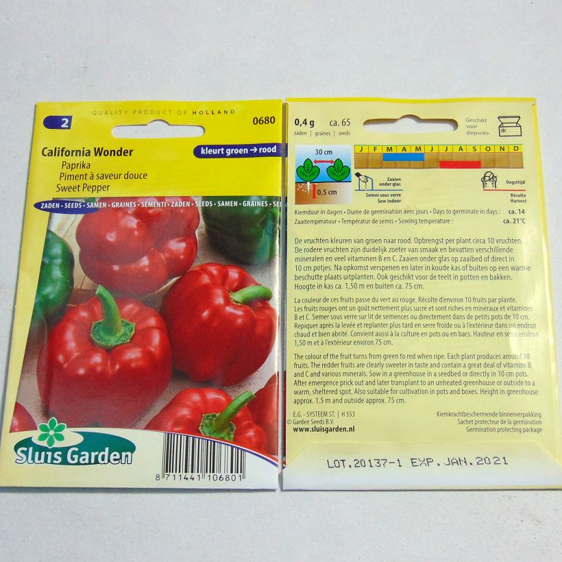 Esimerkki toimitetusta Maustepaprika California Wonder 60 siemenen pussi (0,5g)-taimesta