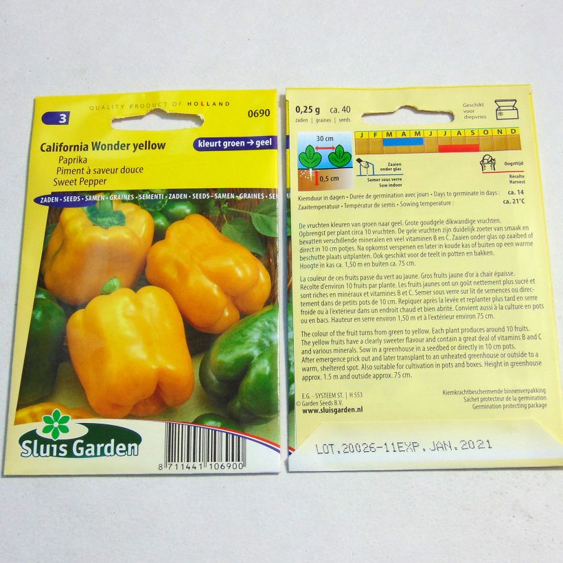 Esimerkki toimitetusta Paprika Golden Calwonder 40 siemenen pussi-taimesta