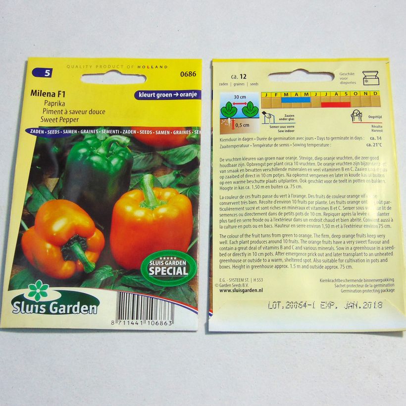 Esimerkki toimitetusta Maustepaprika Milena F1 12 siemenen pussi-taimesta