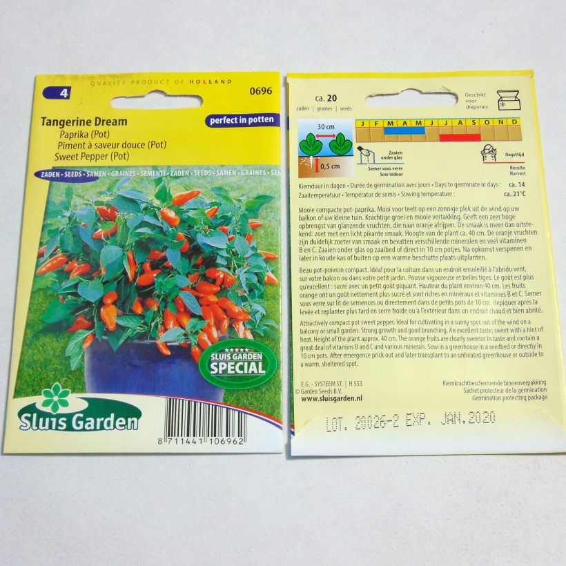 Esimerkki toimitetusta Maustepaprika Tangerine Dream 20 siemenen pussi-taimesta