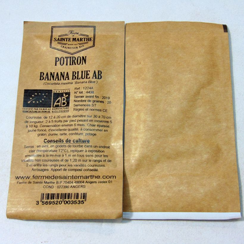 Esimerkki toimitetusta Jättikurpitsa Banana Blue luomu - Ferme de Sainte Marthe 20 siemenen pussi (5g)-taimesta