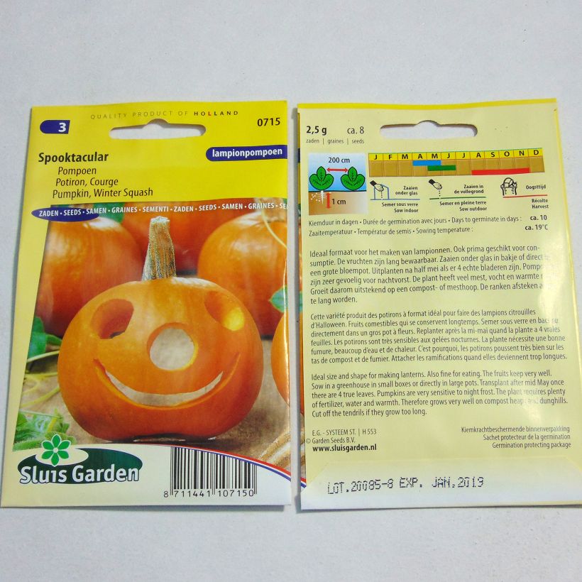 Esimerkki toimitetusta Satokurpitsa Spooktacular 8 siemenen pussi (2g)-taimesta