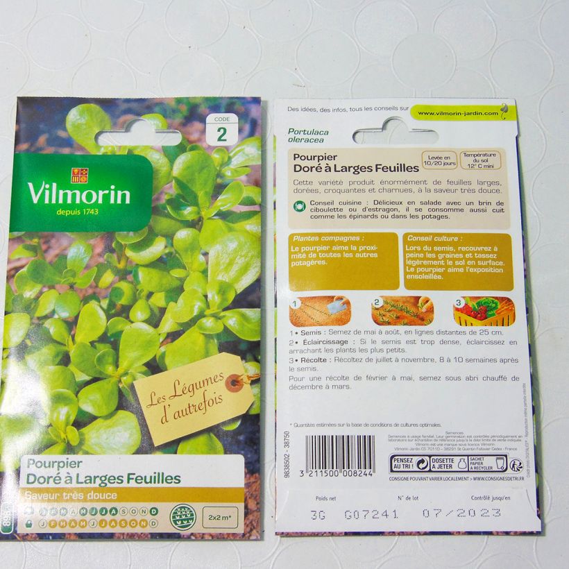 Esimerkki toimitetusta Vihannesportulakka - Vilmorin - Portulaca oleracea 7500 siemenen pussi (3g)-taimesta