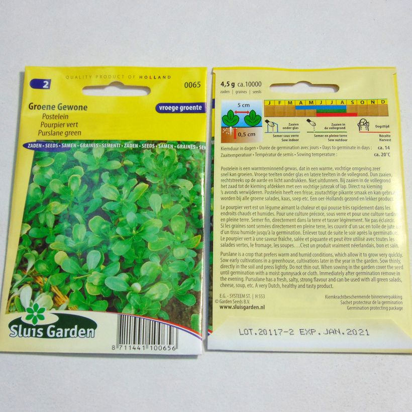 Esimerkki toimitetusta Vihannesportulakka - Portulaca oleracea 10000 siemenen pussi (4g)-taimesta