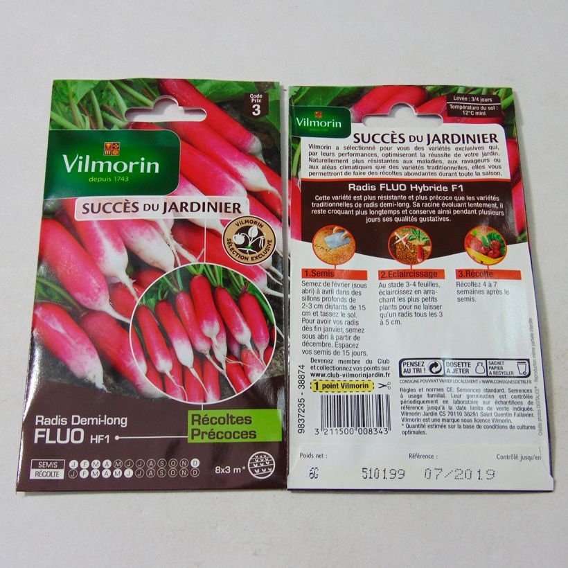 Esimerkki toimitetusta Retiisi Fluo F1 - Vilmorin 480 siemenen pussi (6g)-taimesta