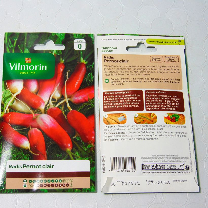 Esimerkki toimitetusta Retiisi Pernot clair - Vilmorin 640 siemenen pussi (8g)-taimesta