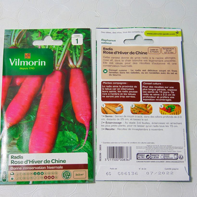 Esimerkki toimitetusta Retiisi China Rose - Vilmorin 480 siemenen pussi (6g)-taimesta