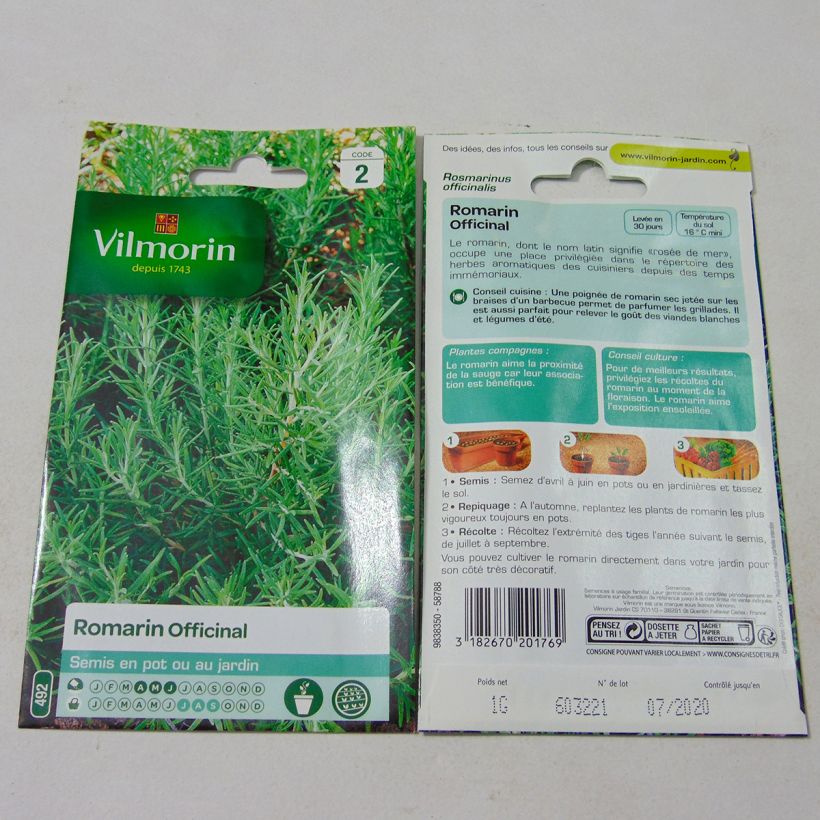 Esimerkki toimitetusta Rohtorosmariini (rosmariini) Vilmorin - Rosmarinus officinalis 1 gramman siemenpussi-taimesta