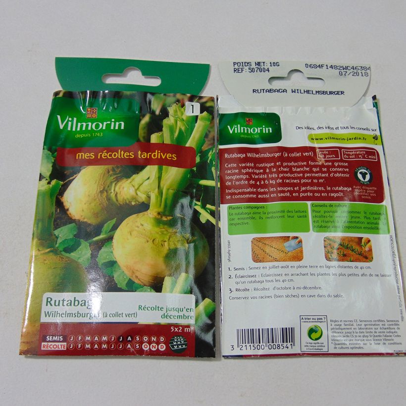 Esimerkki toimitetusta Lanttu Wilhemsburger - Vilmorin 3500 siemenen pussi (10g)-taimesta