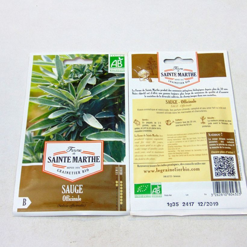 Esimerkki toimitetusta Ryytisalvia luomu - Ferme de Sainte Marthe - Salvia officinalis B 150 siemenen pussi (1g)-taimesta