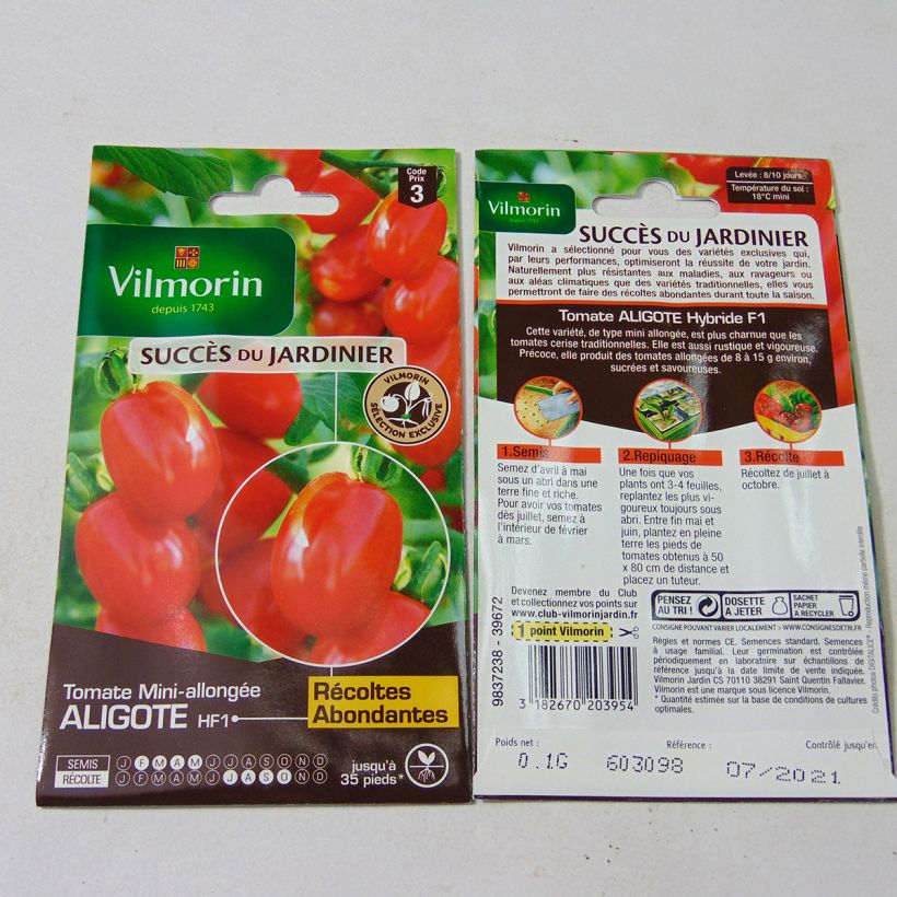 Esimerkki toimitetusta Tomaatti Aligote F1 - Vilmorin 30 siemenen pussi (0,1g)-taimesta