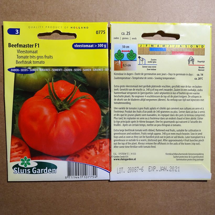 Esimerkki toimitetusta Tomaatti Beefmaster F1 25 siemenen pussi-taimesta