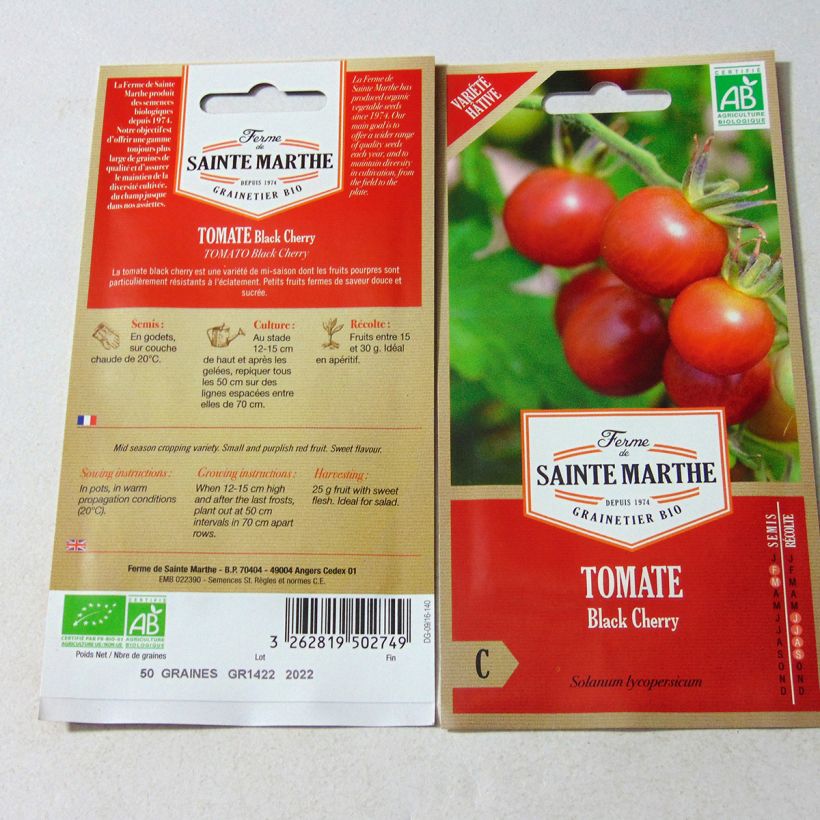 Esimerkki toimitetusta Tomaatti Black Cherry luomu 50 siemenen pussi-taimesta