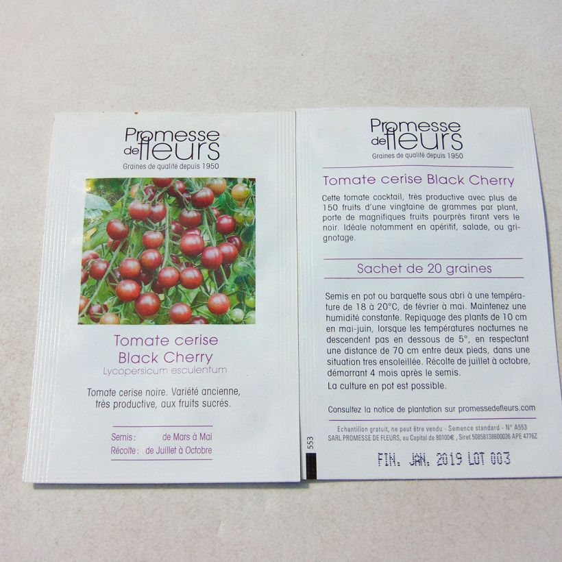 Esimerkki toimitetusta Kirsikkatomaatti Black Cherry 50 siemenen pussi (0,1g)-taimesta