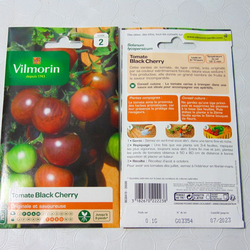 Esimerkki toimitetusta Kirsikkatomaatti Black Cherry - Vilmorin 30 siemenen pussi (0,1g)-taimesta