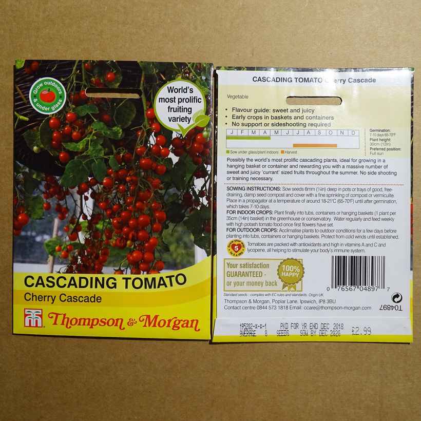 Esimerkki toimitetusta Tomaatti Cherry Cascade 8 siemenen pussi-taimesta