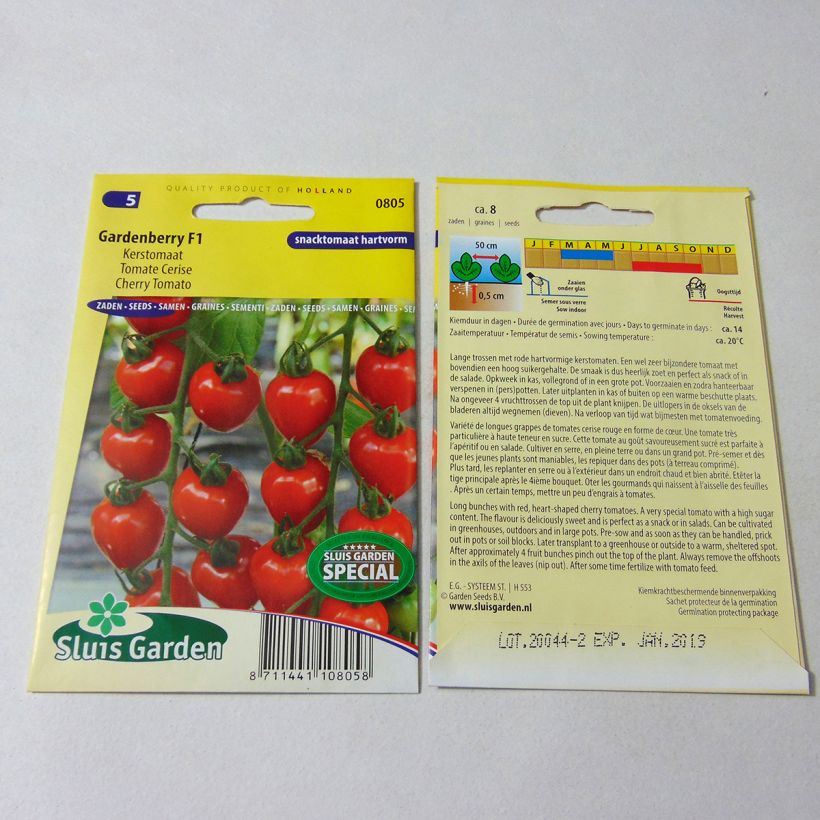 Esimerkki toimitetusta Tomaatti Gardenberry F1 7 siemenen pussi-taimesta