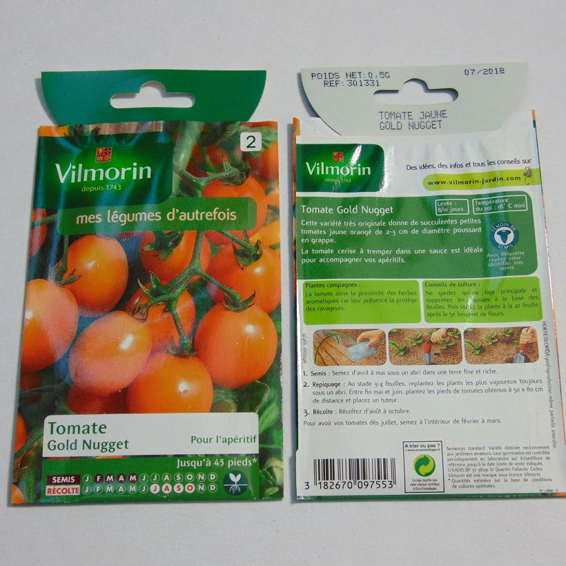Esimerkki toimitetusta Tomaatti Gold Nugget - Vilmorin 150 siemenen pussi (0.5g)-taimesta