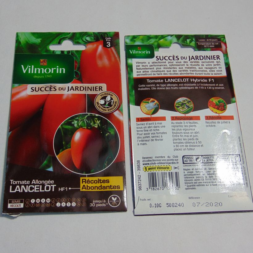 Esimerkki toimitetusta Tomaatti Lancelot F1 - Vilmorin 30 siemenen pussi (0.1g)-taimesta