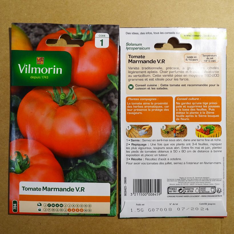 Esimerkki toimitetusta Pihvitomaatti Marmande - Vilmorin 450 siemenen pussi (1.5g)-taimesta