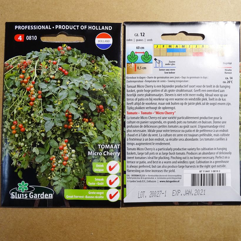 Esimerkki toimitetusta Amppelitomaatti Micro Cherry 12 siemenen pussi-taimesta