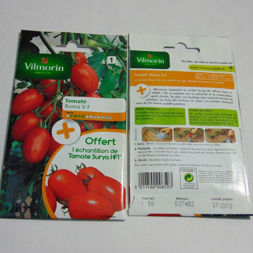 Esimerkki toimitetusta Tomaatti Roma V.F - Vilmorin 450 siemenen pussi (1.5g)-taimesta