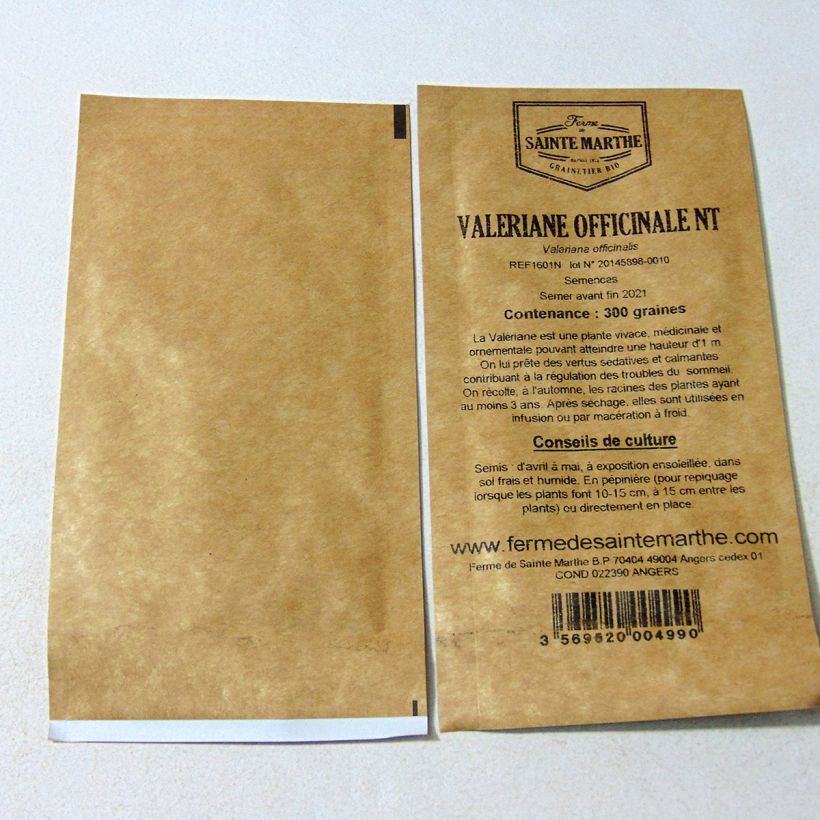 Esimerkki toimitetusta Rohtovirmajuuri - Ferme de Sainte Marthe - Valeriana officinalis 500 siemenen pussi (0,4g)-taimesta