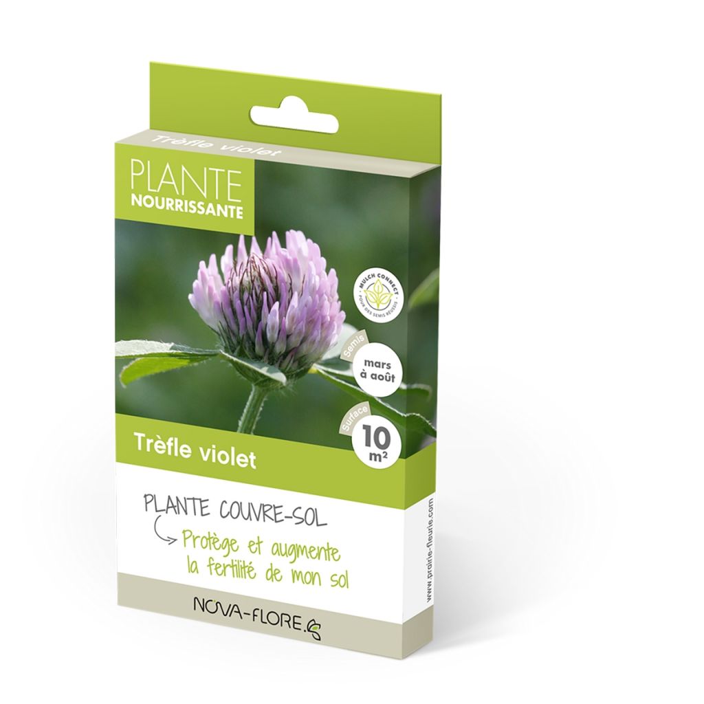 Puna-apila - Trifolium pratense
