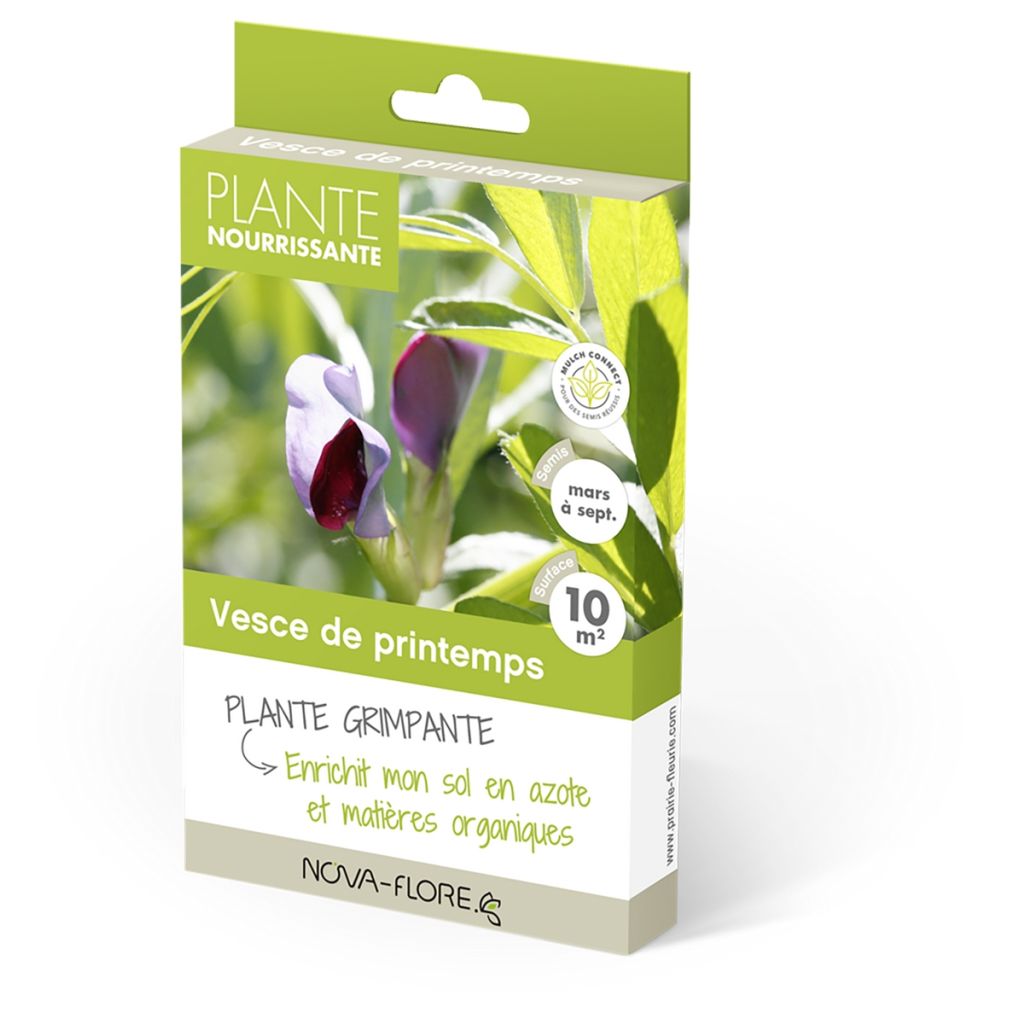 Rehuvirna - Vicia sativa