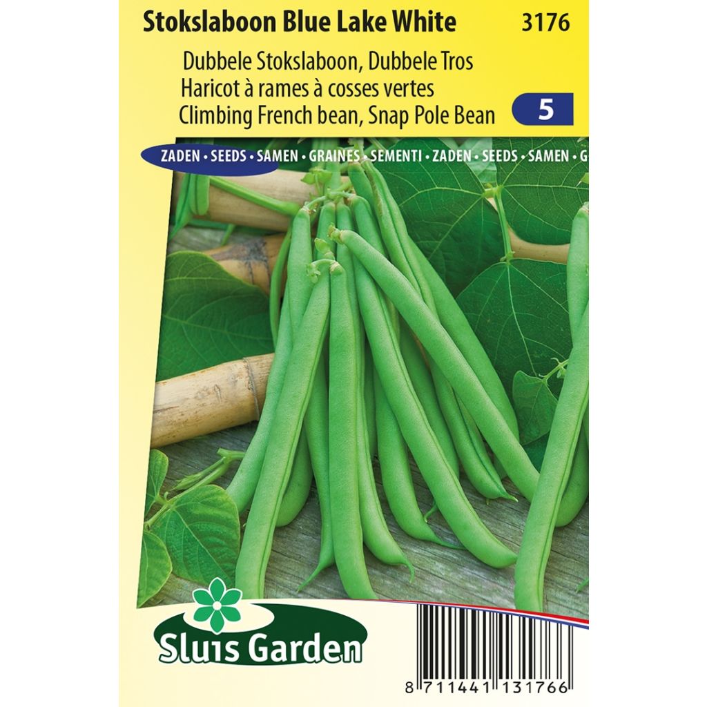 Salkopapu Blue Lake White
